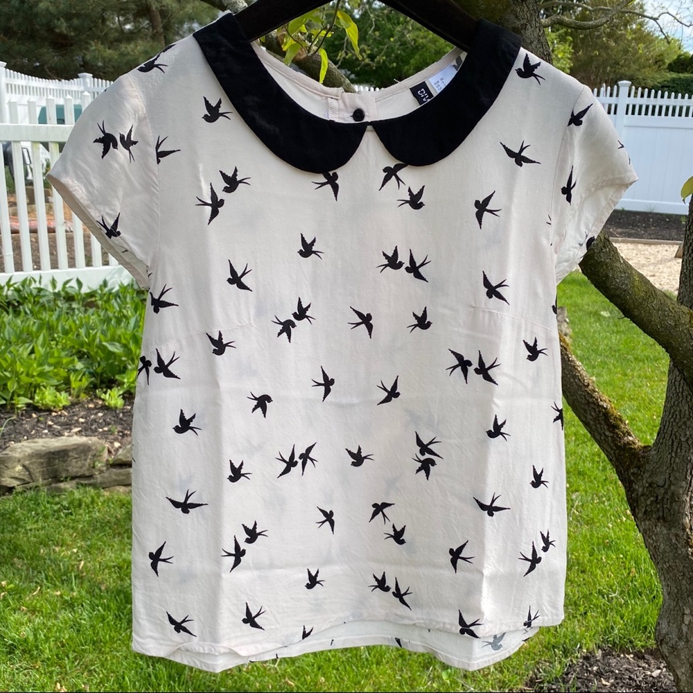 Swallow bird print shirt